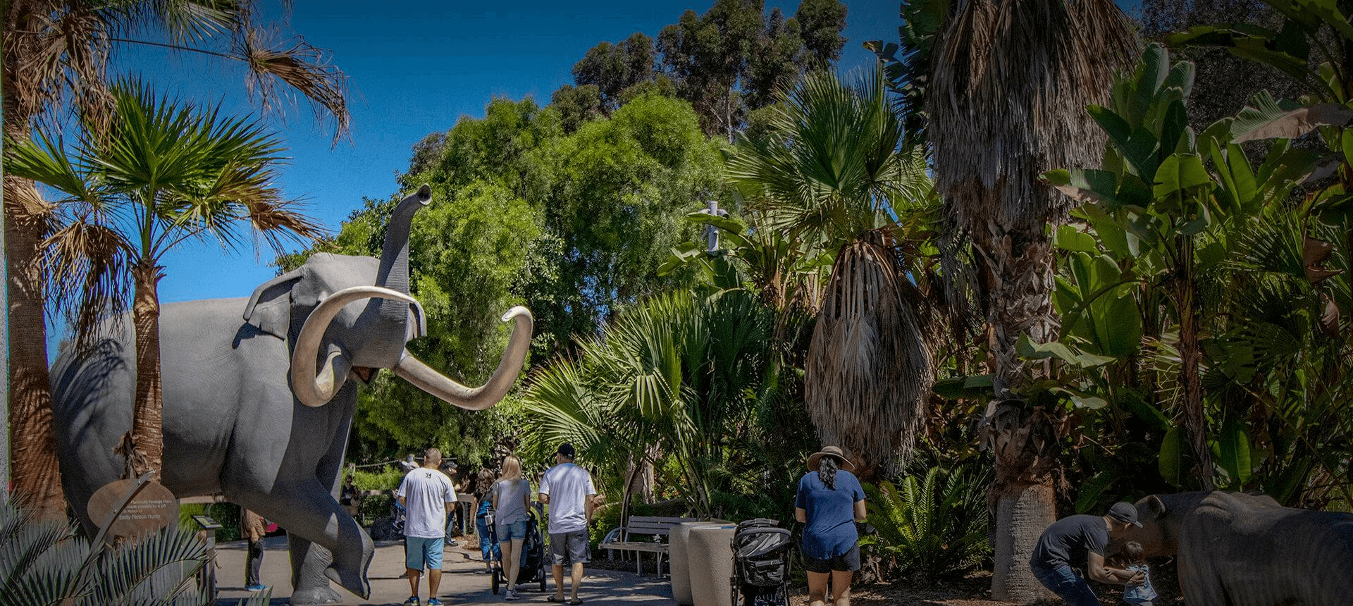 San Diego Zoo – San Diego, CA
